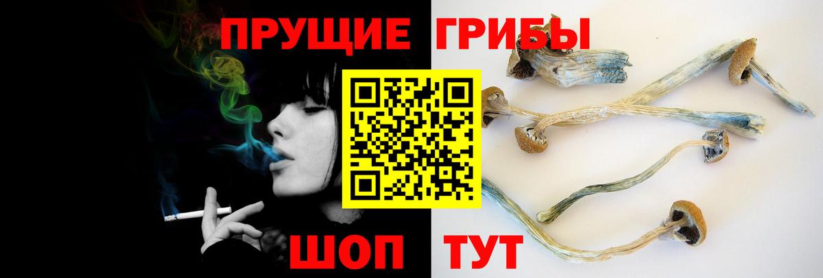 Галлюциногенные грибы Psilocybine cubensis Выкса